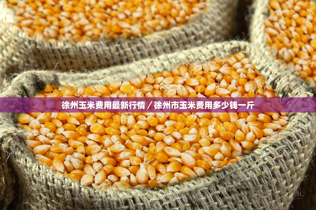 徐州玉米费用最新行情/徐州市玉米费用多少钱一斤 徐州玉米费用最新行情/徐州市玉米费用多少钱一斤