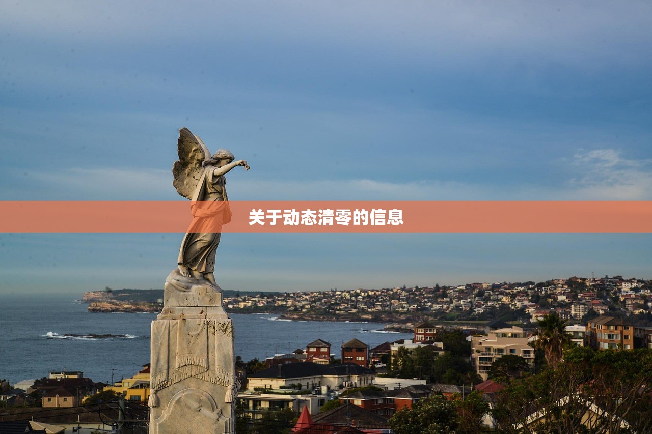 关于动态清零的信息