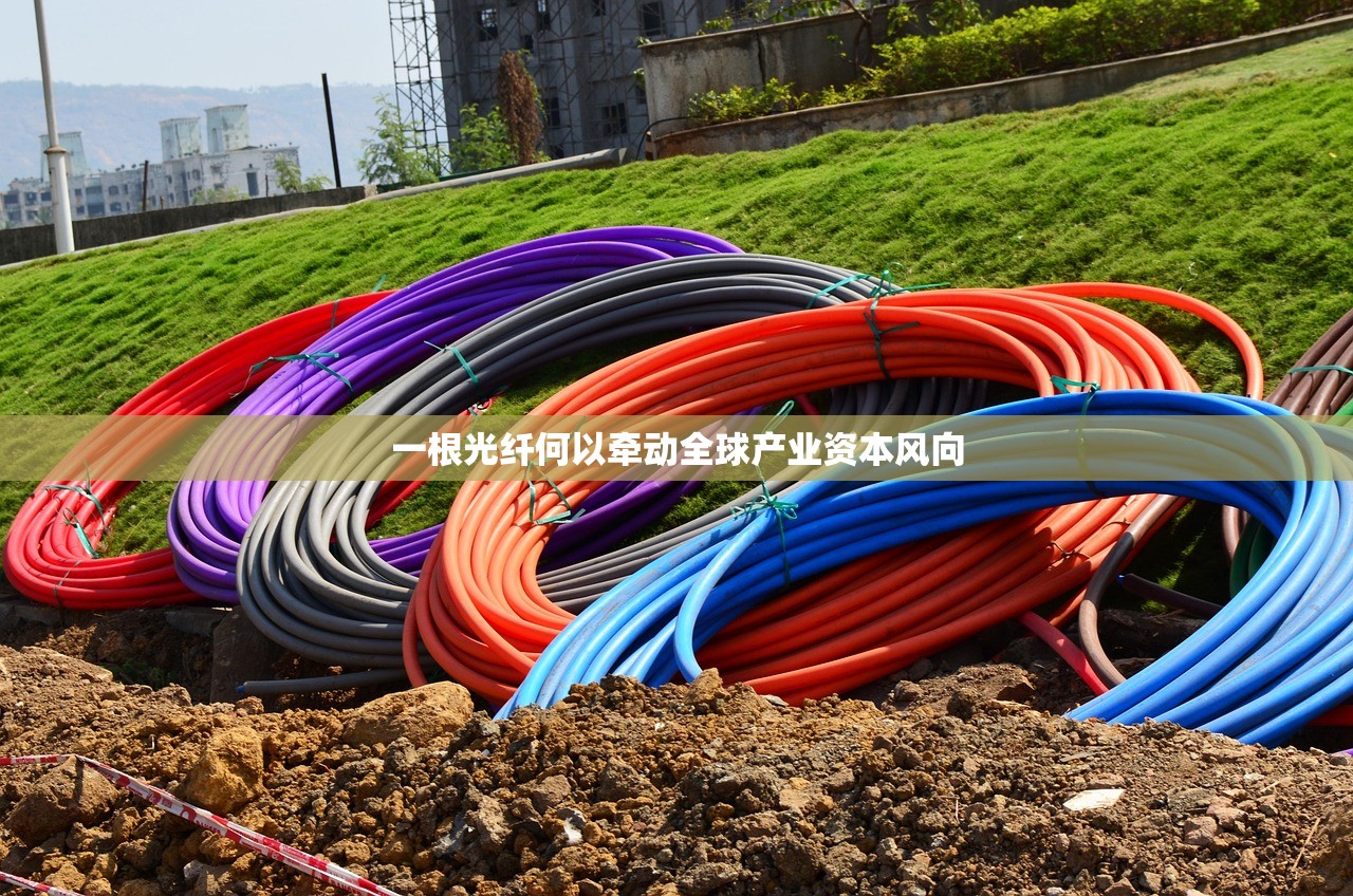 一根光纤何以牵动全球产业资本风向 一根光纤何以牵动全球产业资本风向