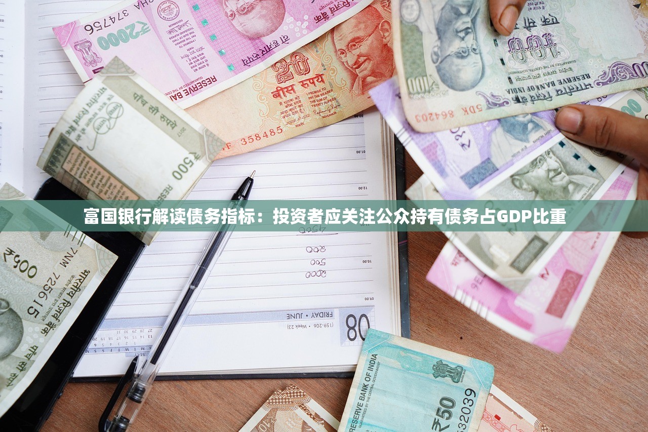 富国银行解读债务指标：投资者应关注公众持有债务占GDP比重
