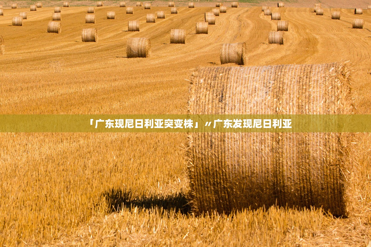 「广东现尼日利亚突变株」〃广东发现尼日利亚 「广东现尼日利亚突变株」〃广东发现尼日利亚
