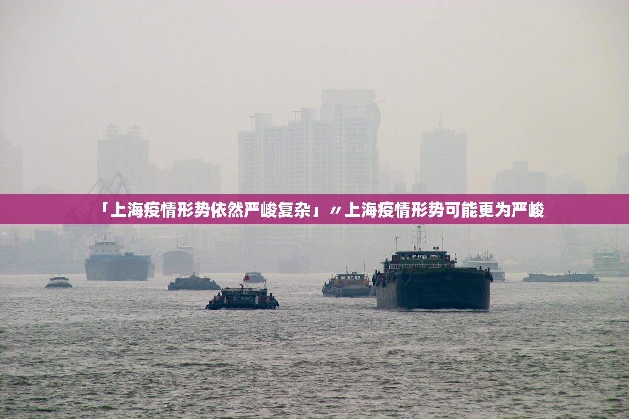 「上海疫情形势依然严峻复杂」〃上海疫情形势可能更为严峻 「上海疫情形势依然严峻复杂」〃上海疫情形势可能更为严峻