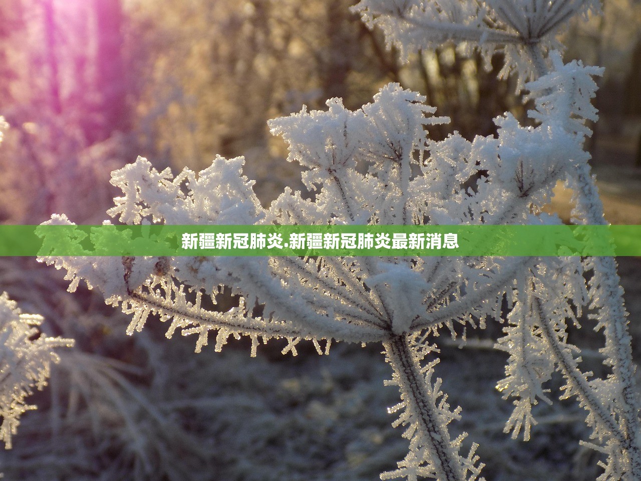 新疆新冠肺炎.新疆新冠肺炎最新消息 新疆新冠肺炎.新疆新冠肺炎最新消息