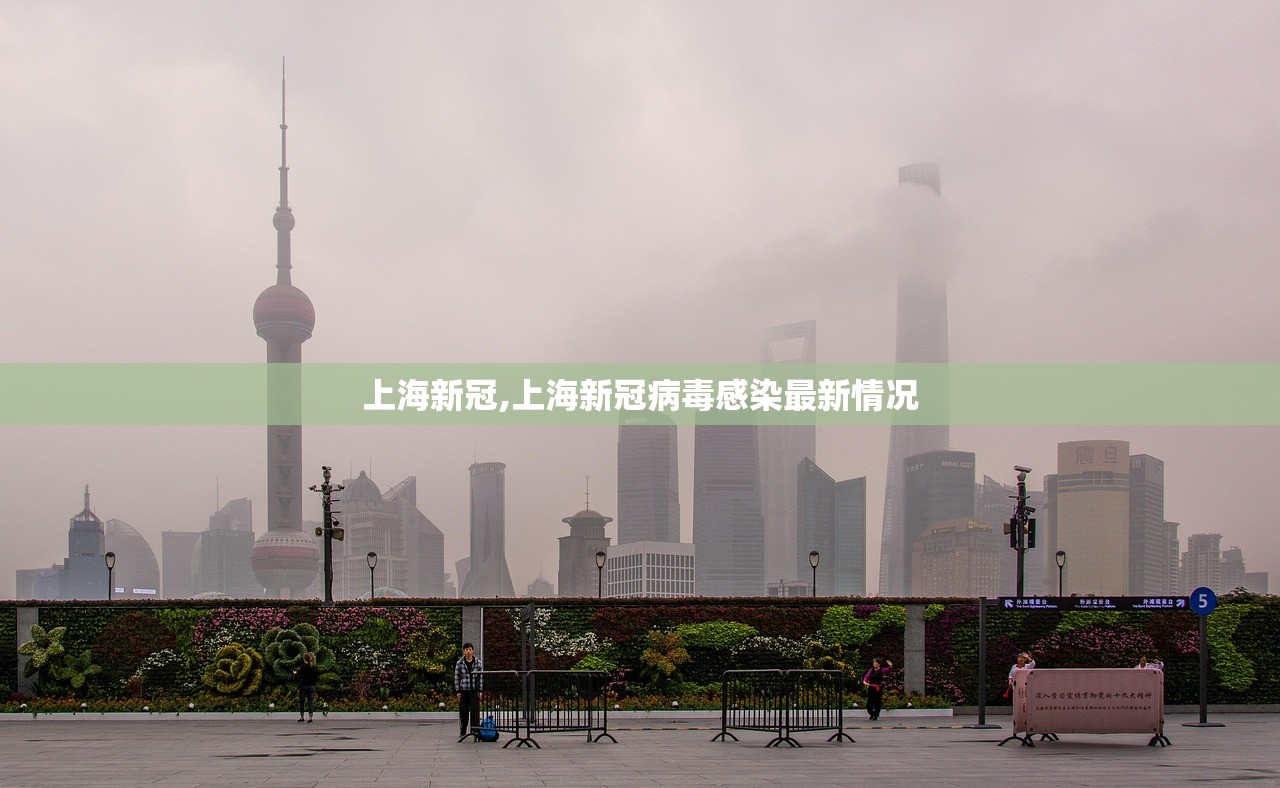 上海新冠,上海新冠病毒感染最新情况