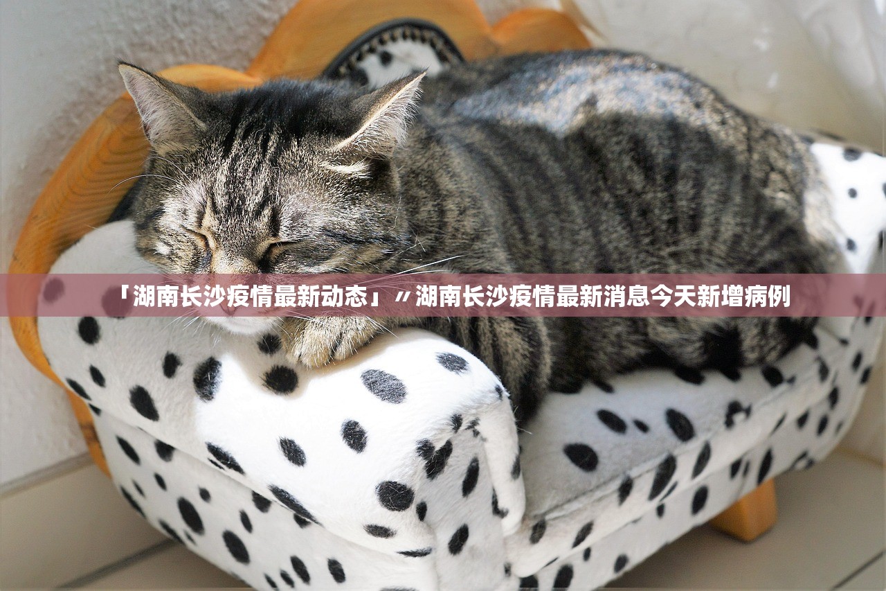 「湖南长沙疫情最新动态」〃湖南长沙疫情最新消息今天新增病例 「湖南长沙疫情最新动态」〃湖南长沙疫情最新消息今天新增病例
