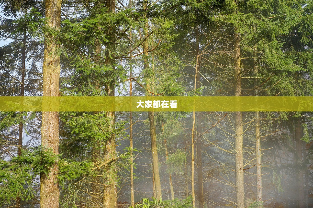 大家都在看