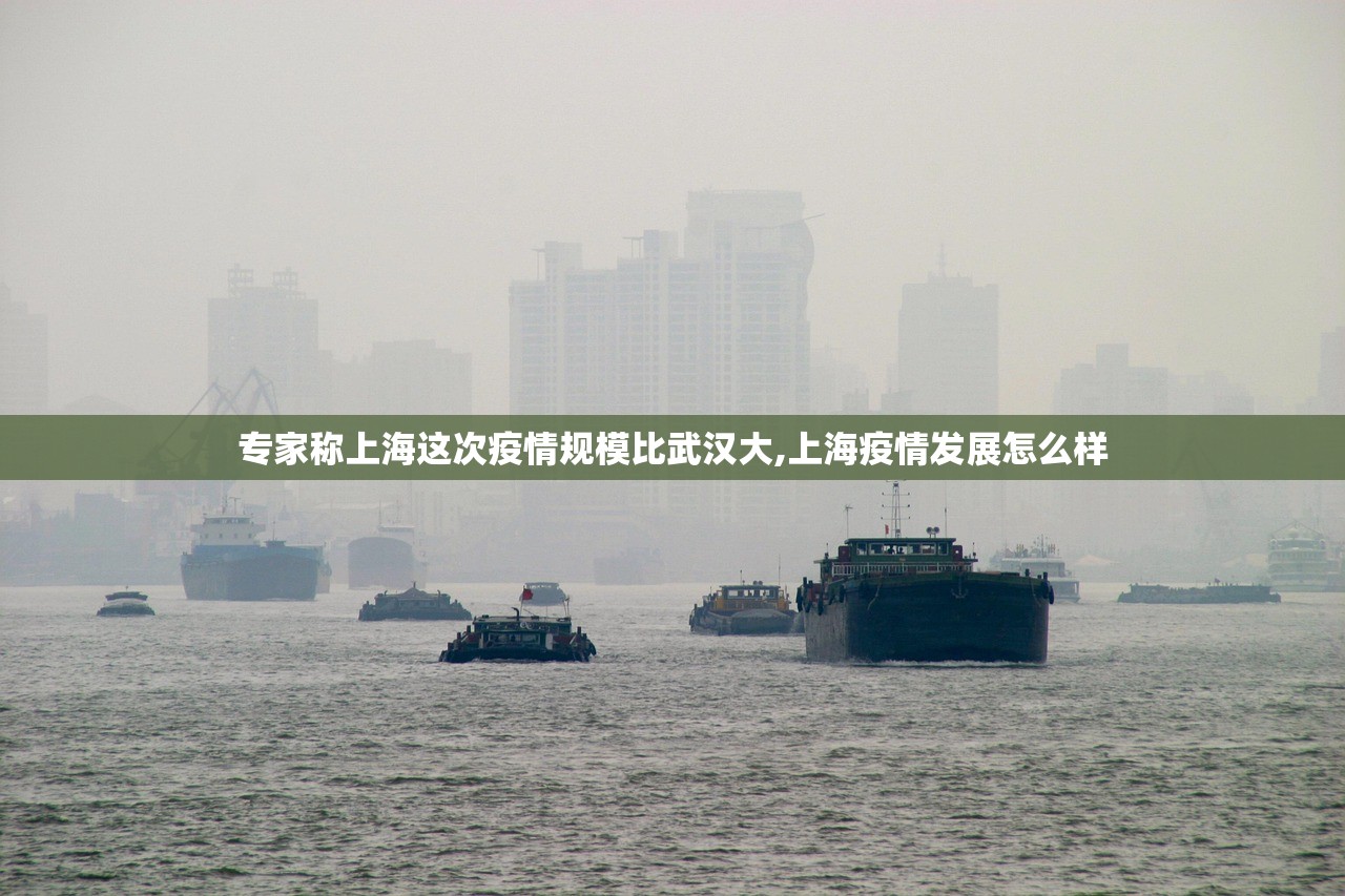 专家称上海这次疫情规模比武汉大,上海疫情发展怎么样 专家称上海这次疫情规模比武汉大,上海疫情发展怎么样