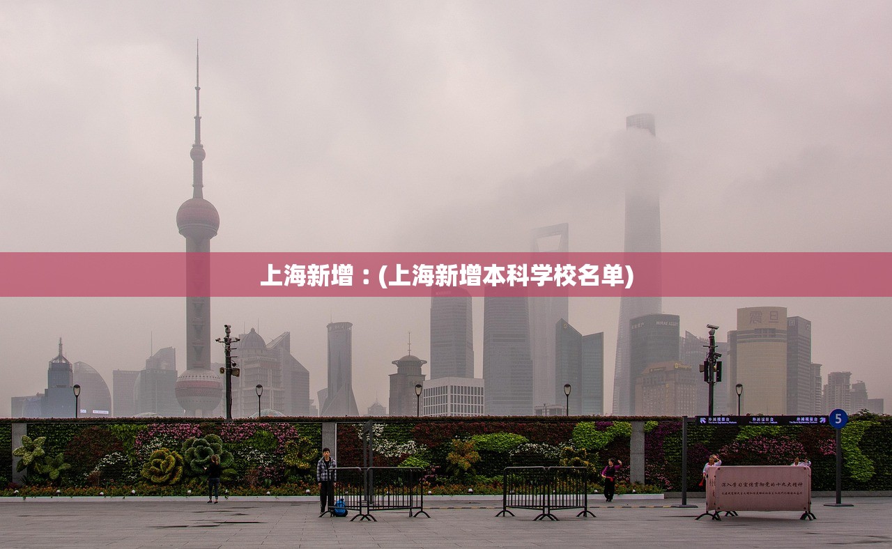 上海新增︰(上海新增本科学校名单)