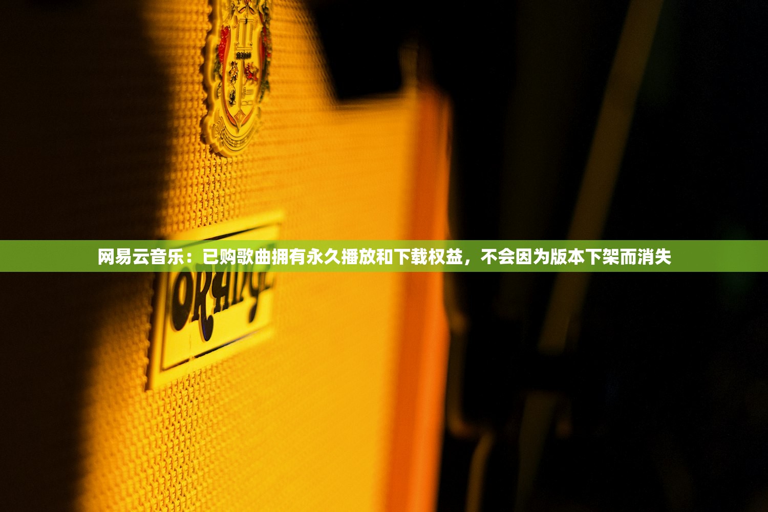 网易云音乐：已购歌曲拥有永久播放和下载权益，不会因为版本下架而消失
