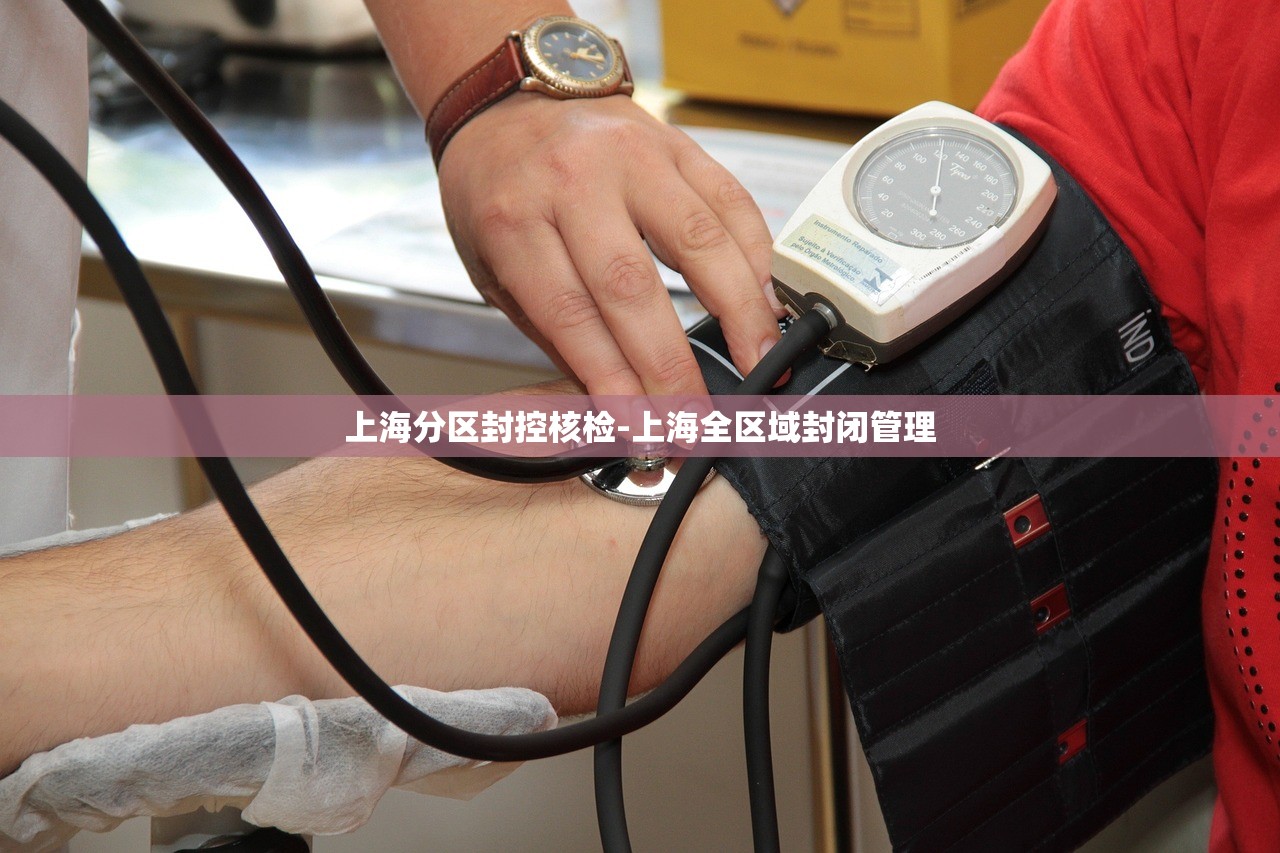 上海分区封控核检-上海全区域封闭管理
