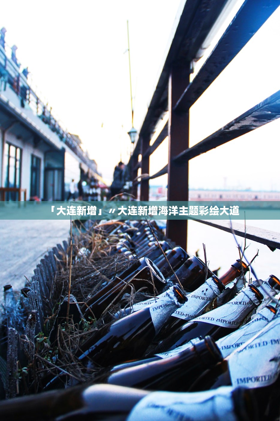「大连新增」〃大连新增海洋主题彩绘大道 「大连新增」〃大连新增海洋主题彩绘大道