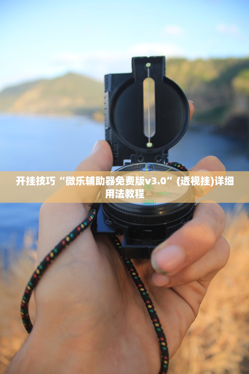开挂技巧“微乐辅助器免费版v3.0”(透视挂)详细用法教程