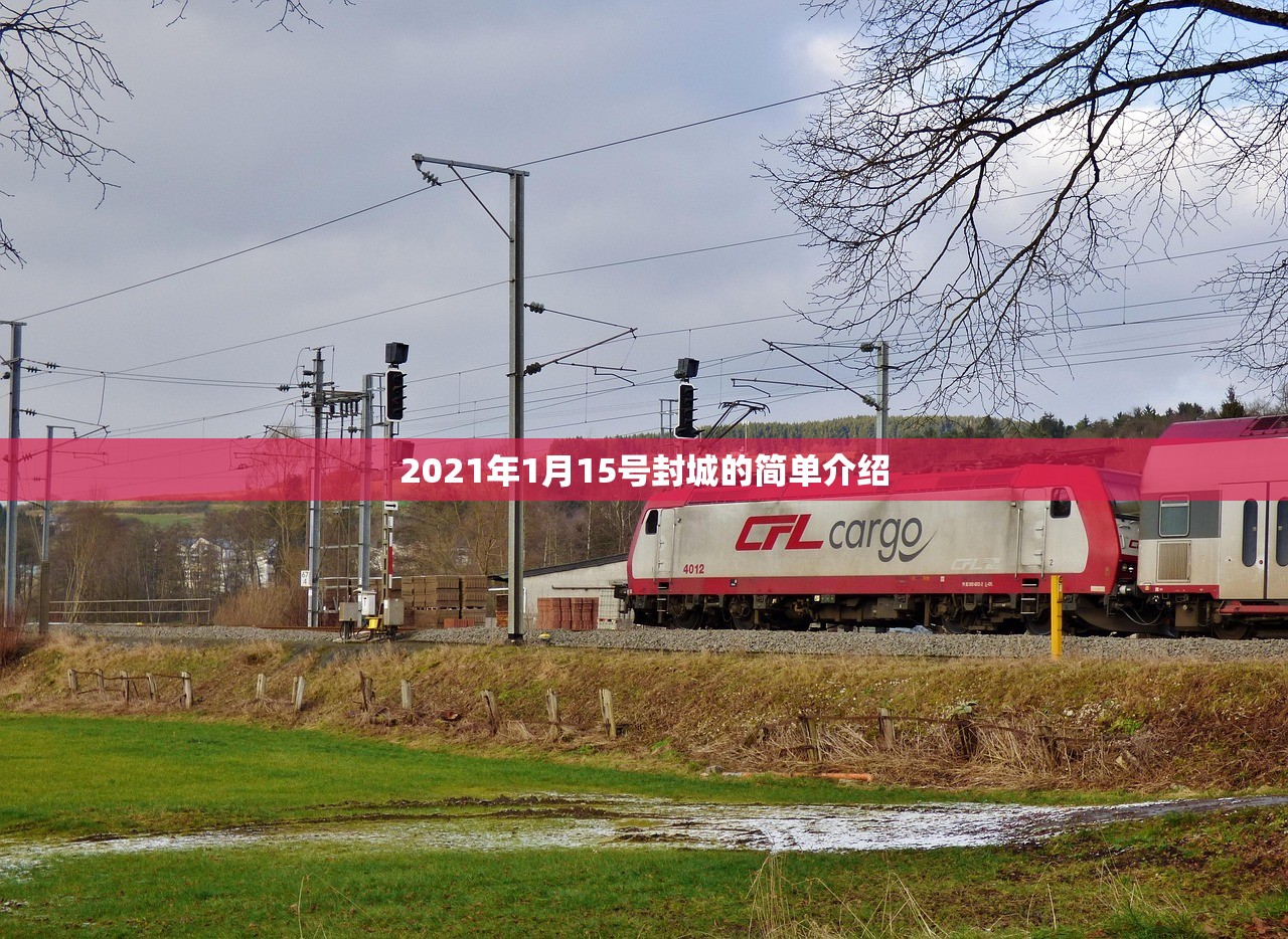 2021年1月15号封城的简单介绍 2021年1月15号封城的简单介绍