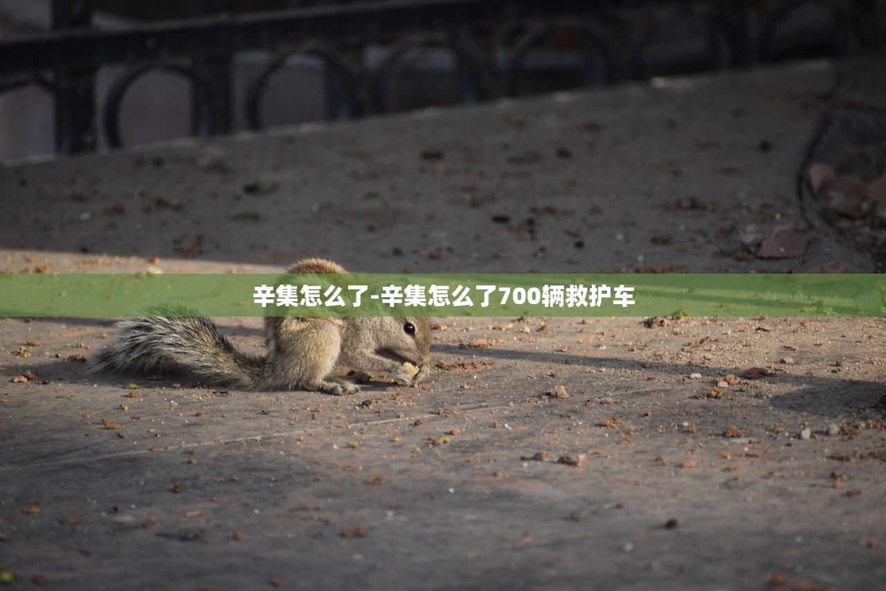 辛集怎么了-辛集怎么了700辆救护车 辛集怎么了-辛集怎么了700辆救护车