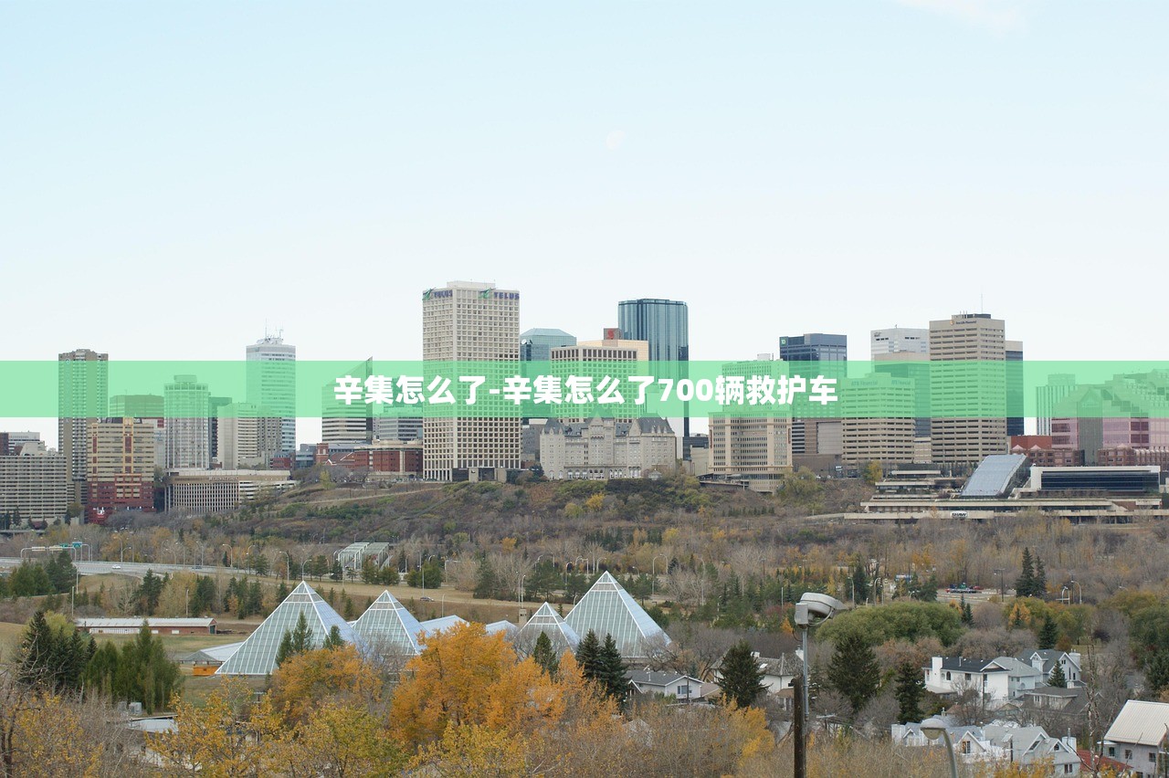 辛集怎么了-辛集怎么了700辆救护车 辛集怎么了-辛集怎么了700辆救护车