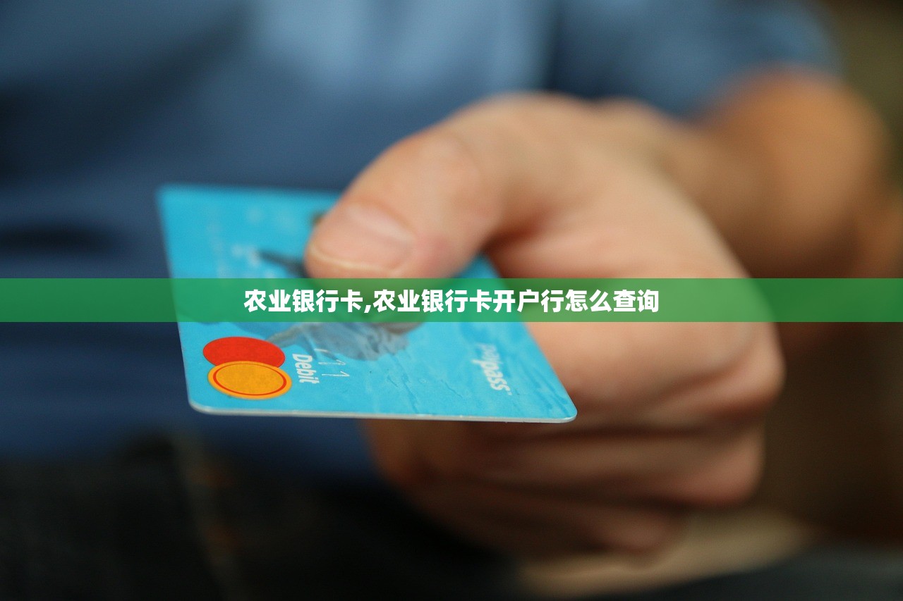 农业银行卡,农业银行卡开户行怎么查询 农业银行卡,农业银行卡开户行怎么查询