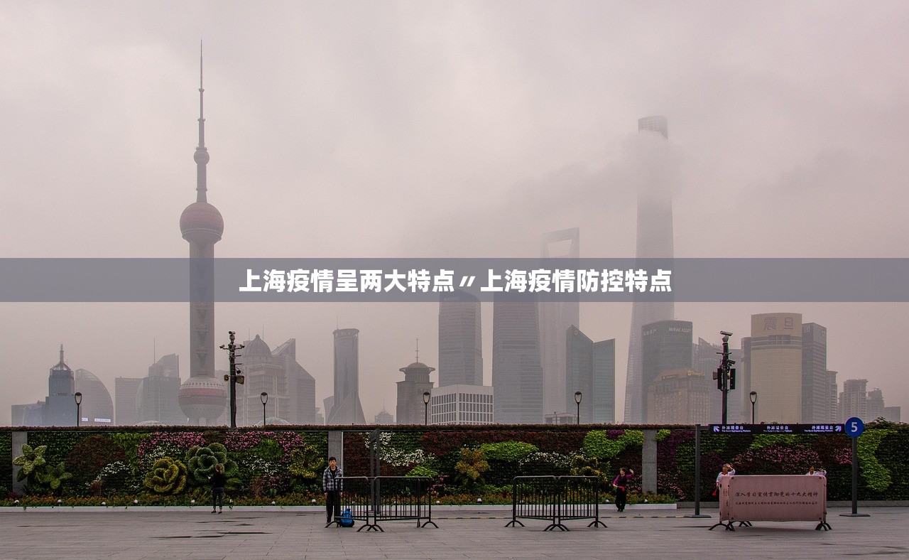 上海疫情呈两大特点〃上海疫情防控特点 上海疫情呈两大特点〃上海疫情防控特点
