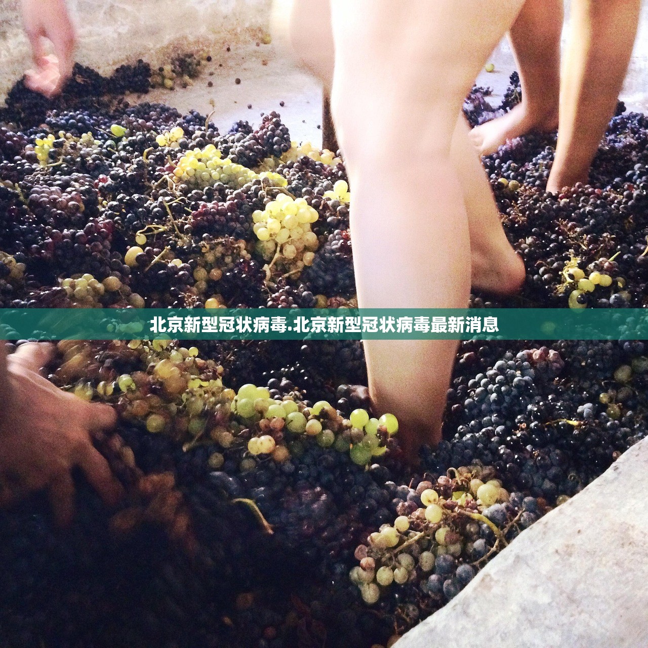 北京新型冠状病毒.北京新型冠状病毒最新消息 北京新型冠状病毒.北京新型冠状病毒最新消息
