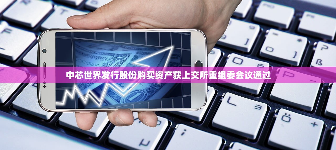 中芯世界发行股份购买资产获上交所重组委会议通过 中芯世界发行股份购买资产获上交所重组委会议通过