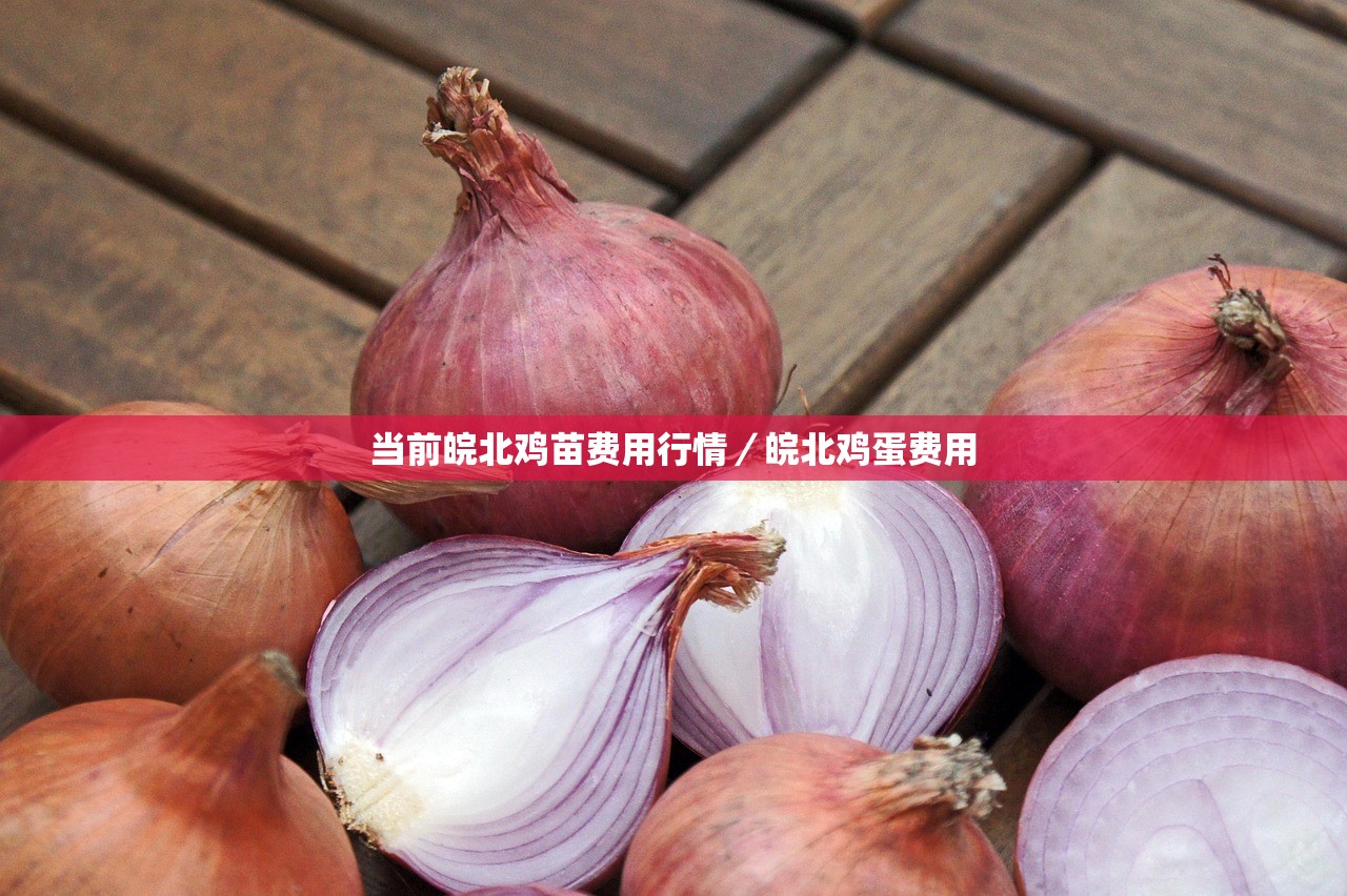 当前皖北鸡苗费用行情／皖北鸡蛋费用