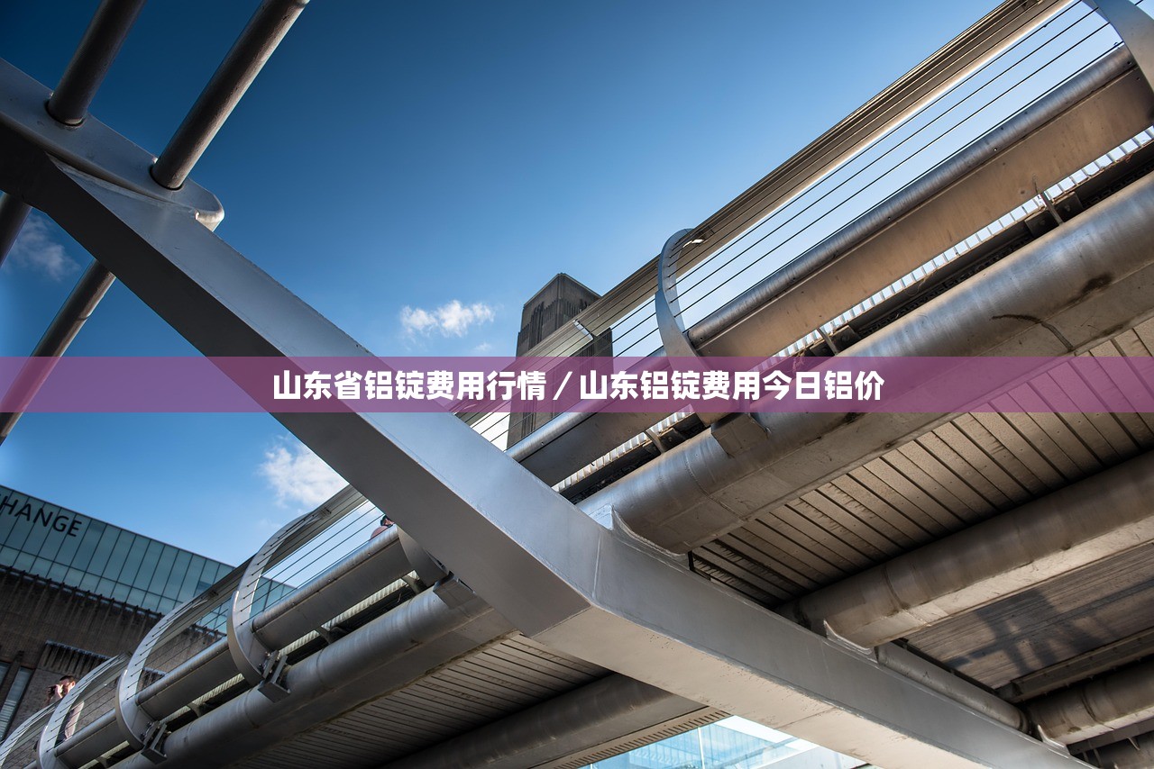 山东省铝锭费用行情/山东铝锭费用今日铝价 山东省铝锭费用行情/山东铝锭费用今日铝价