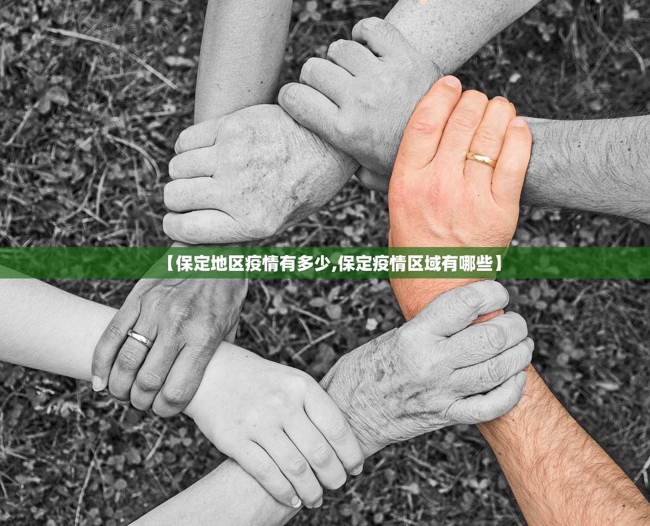 独家脚本实测“哈灵麻将外卦神器免费版	”附开挂脚本详细教程