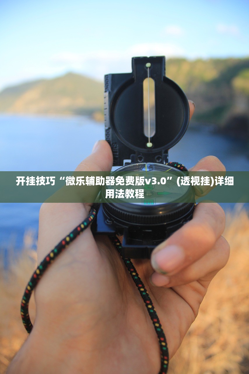 开挂技巧“微乐辅助器免费版v3.0”(透视挂)详细用法教程