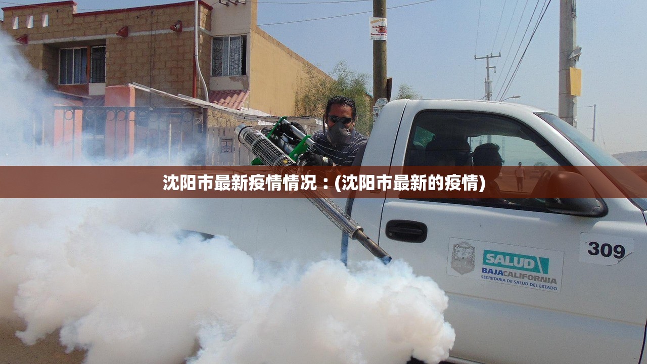 沈阳市最新疫情情况︰(沈阳市最新的疫情)