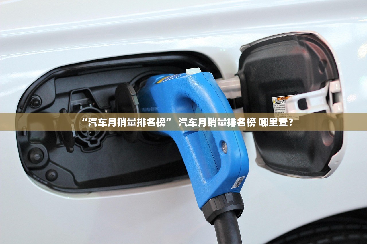 “汽车月销量排名榜” 汽车月销量排名榜 哪里查？