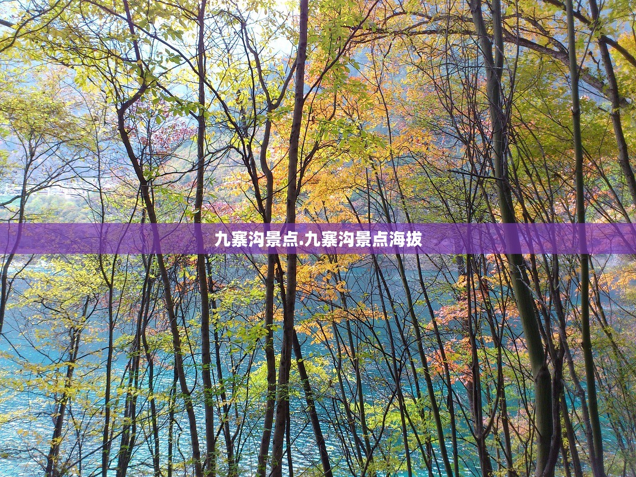 2022年北京冬奥会,2022年北京冬奥会花样滑冰女单冠军是