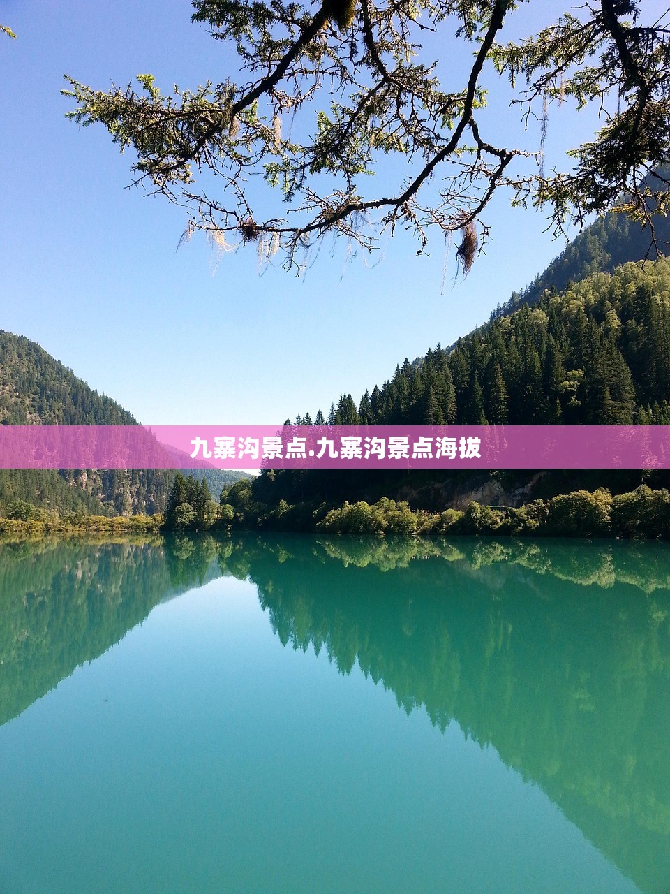 防水材料排名榜〃防水材料排名前十的品牌