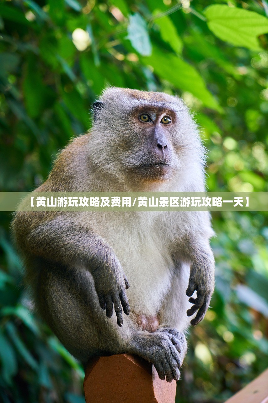 “ab胶前十品牌” 比较好的ab胶？
