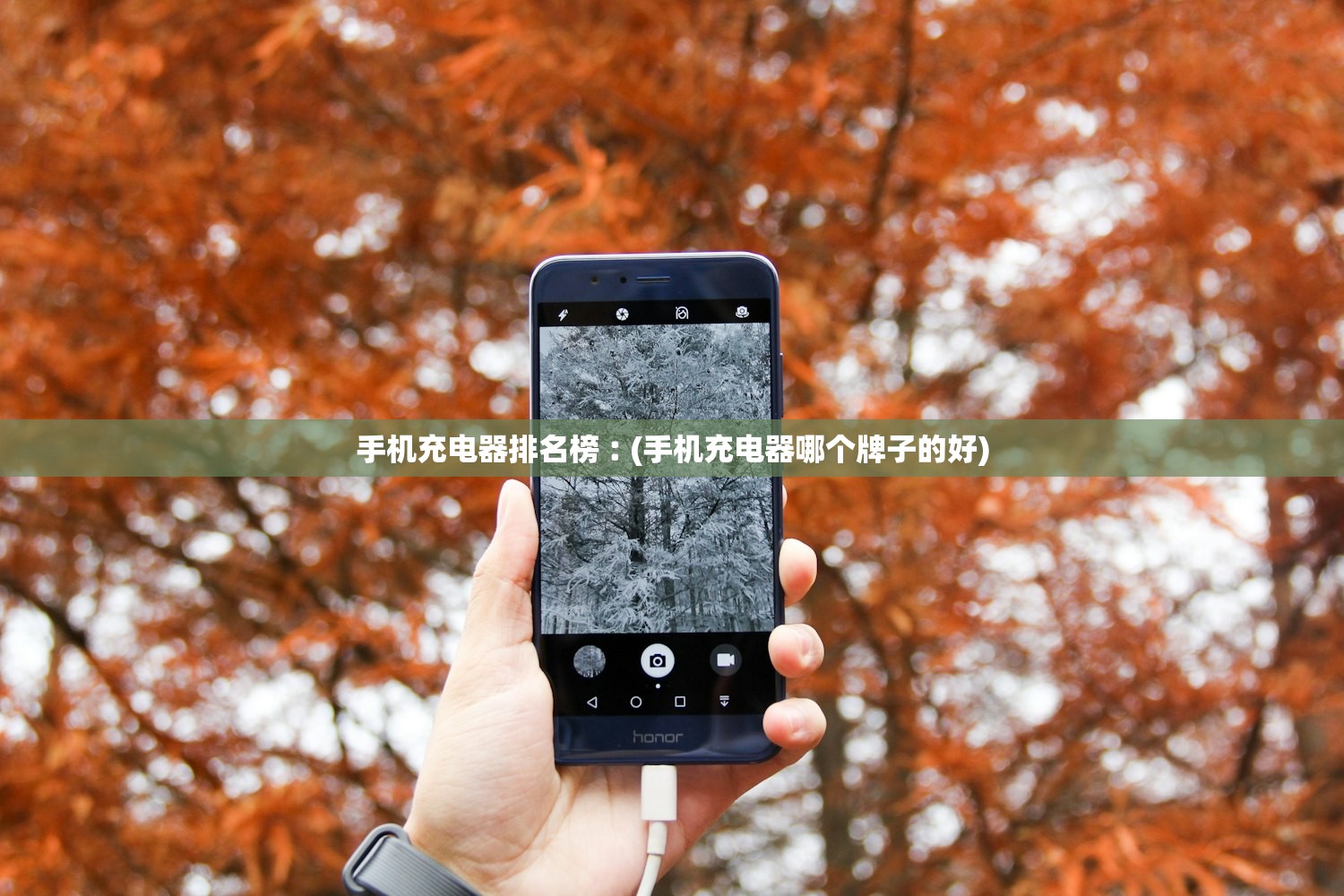 31省份新增确诊24例.31省区市新增71例确诊 31省份新增确诊24例.31省区市新增71例确诊