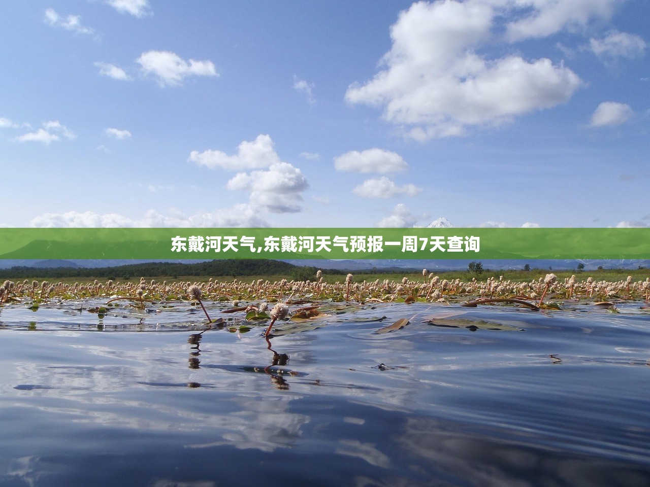 东戴河天气,东戴河天气预报一周7天查询