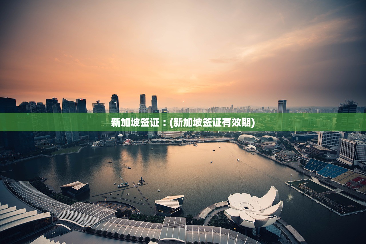 新加坡签证︰(新加坡签证有效期)