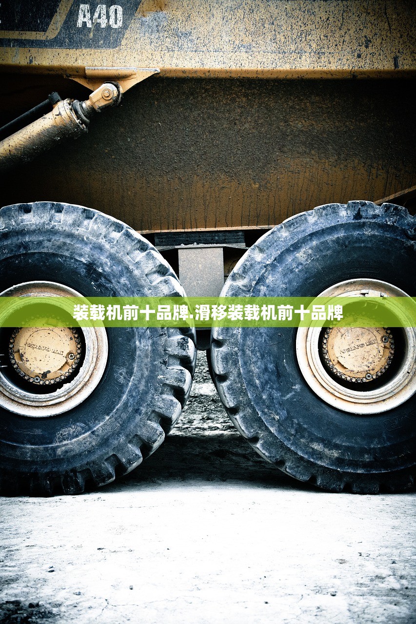 装载机前十品牌.滑移装载机前十品牌