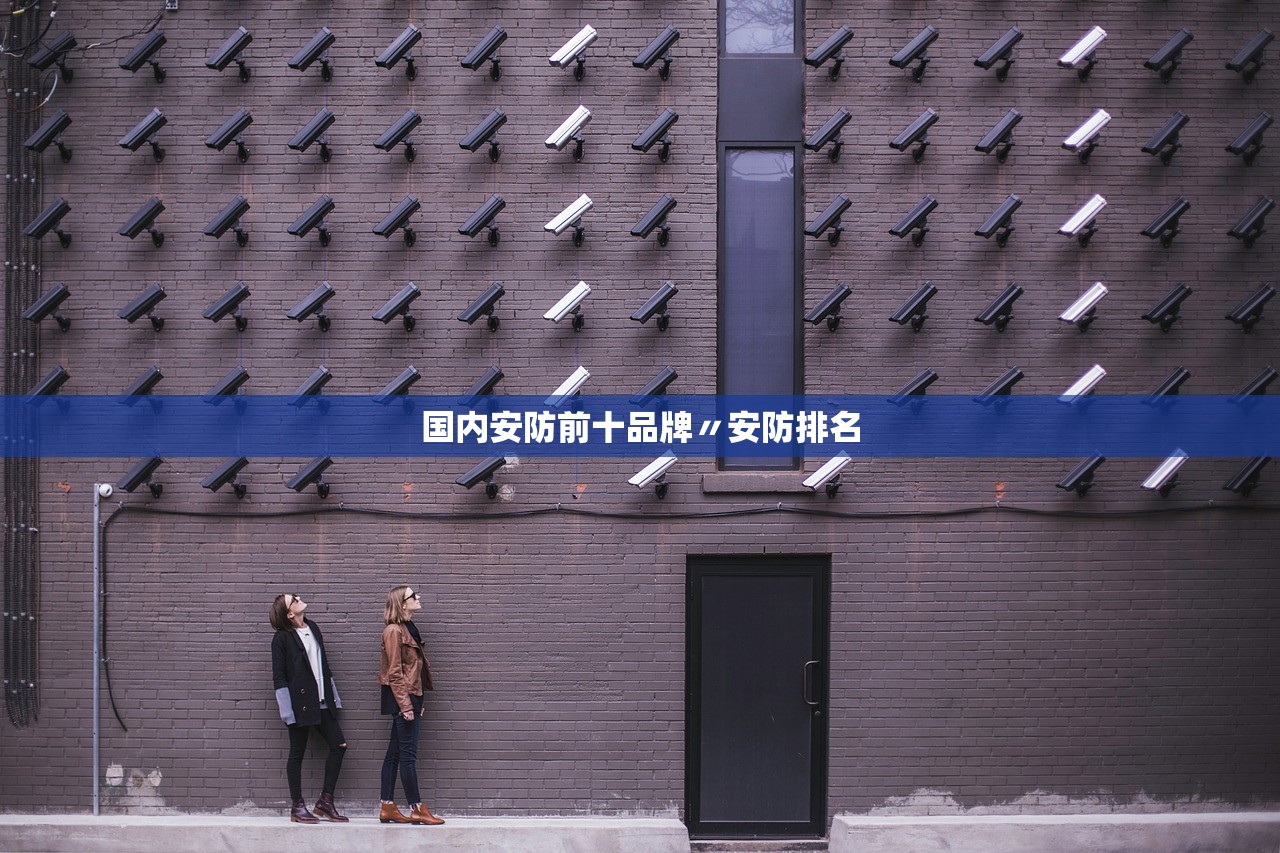 国内安防前十品牌〃安防排名