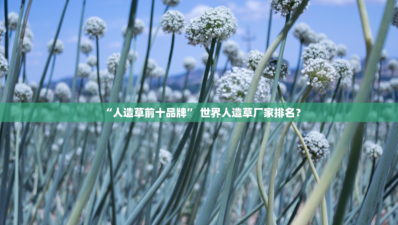 “人造草前十品牌” 世界人造草厂家排名？