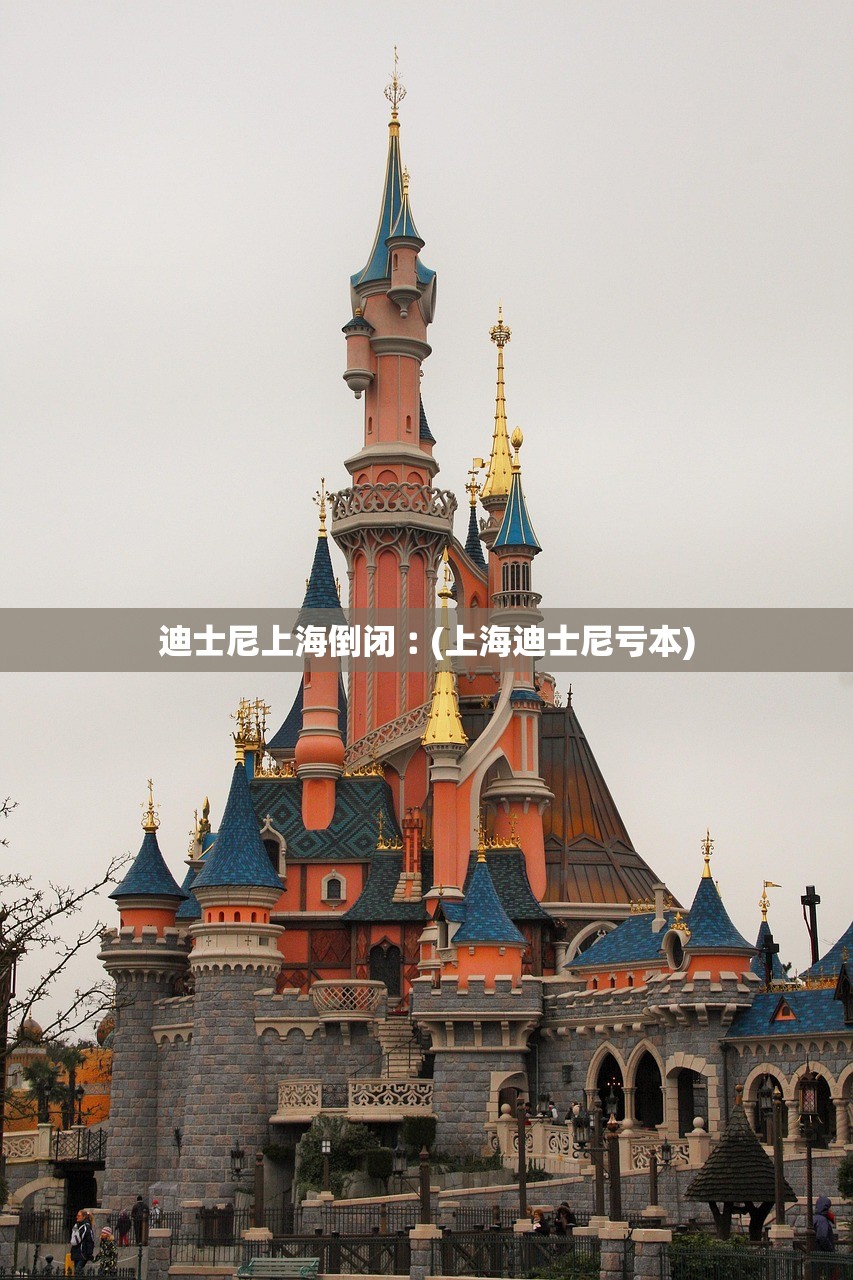 迪士尼上海倒闭︰(上海迪士尼亏本)