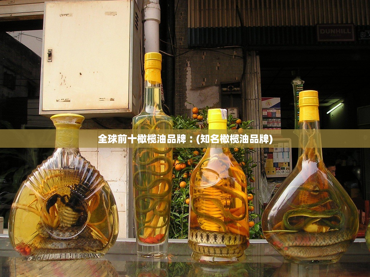全球前十橄榄油品牌︰(知名橄榄油品牌)