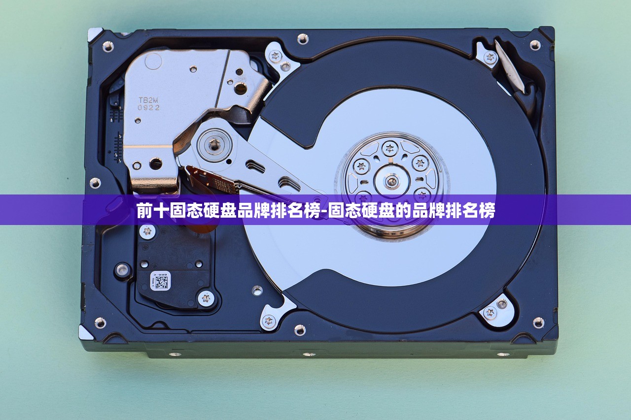 前十固态硬盘品牌排名榜-固态硬盘的品牌排名榜