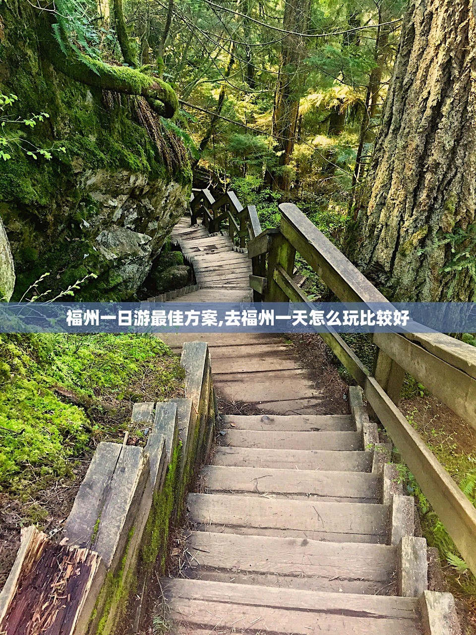福州一日游最佳方案,去福州一天怎么玩比较好