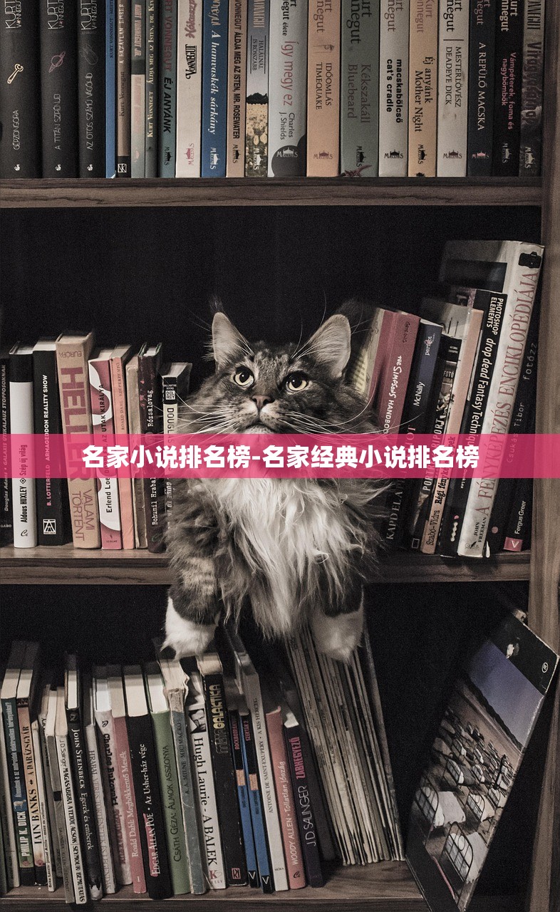 名家小说排名榜-名家经典小说排名榜