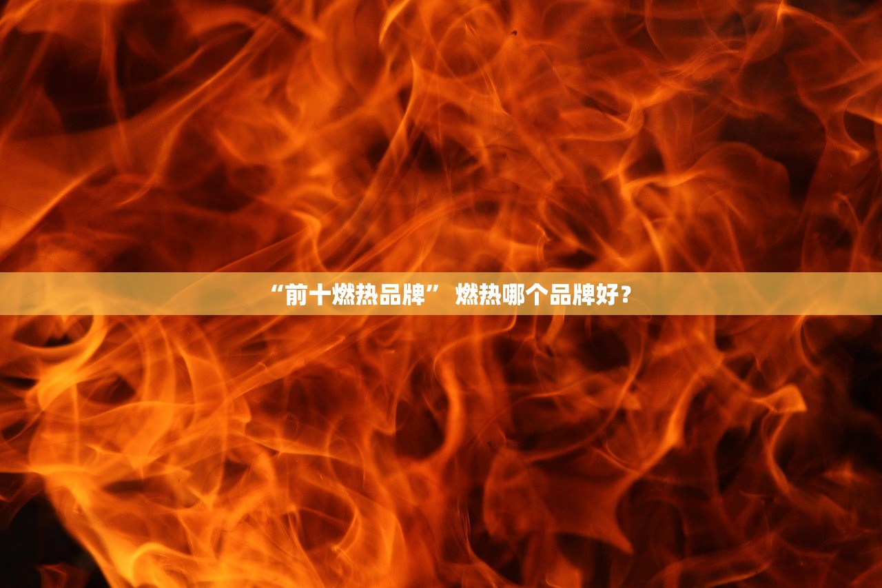 “前十燃热品牌	” 燃热哪个品牌好？