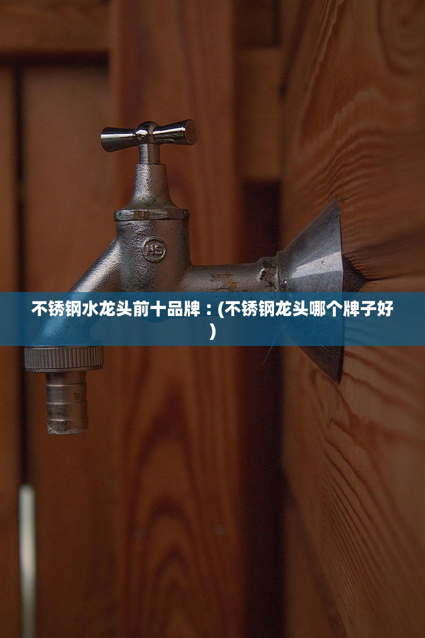 不锈钢水龙头前十品牌︰(不锈钢龙头哪个牌子好)