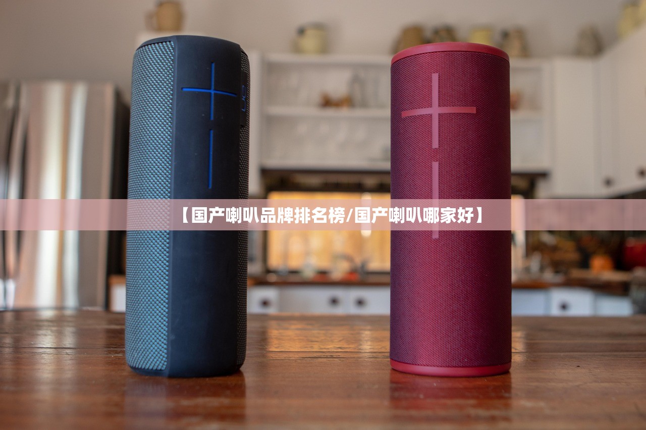 【国产喇叭品牌排名榜/国产喇叭哪家好】