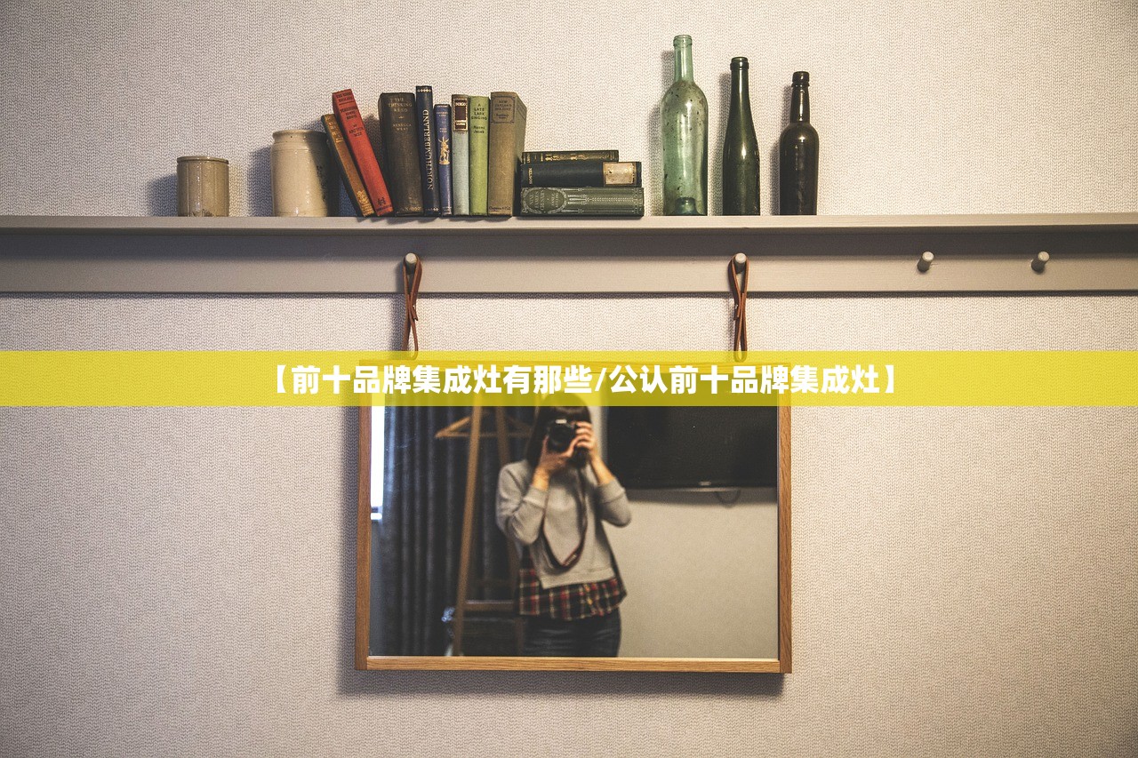 【前十品牌集成灶有那些/公认前十品牌集成灶】