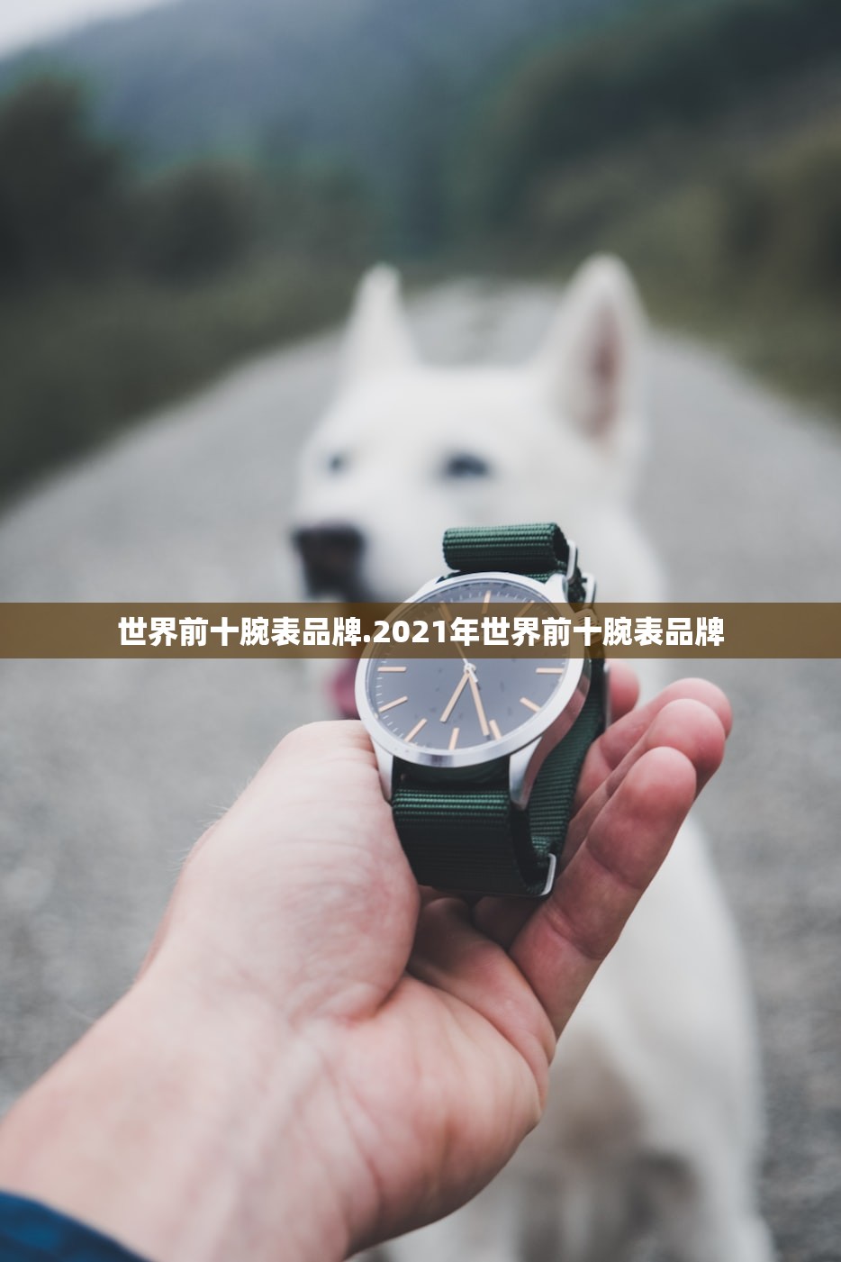 世界前十腕表品牌.2021年世界前十腕表品牌 世界前十腕表品牌.2021年世界前十腕表品牌