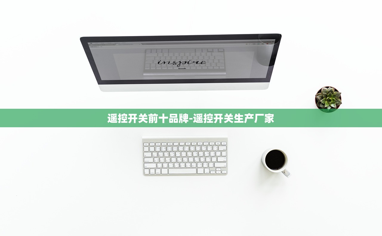 遥控开关前十品牌-遥控开关生产厂家
