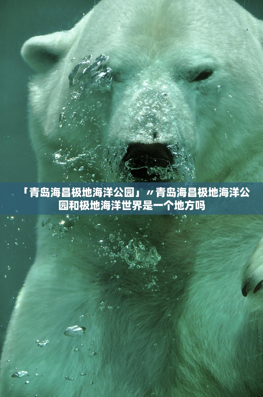 「青岛海昌极地海洋公园」〃青岛海昌极地海洋公园和极地海洋世界是一个地方吗
